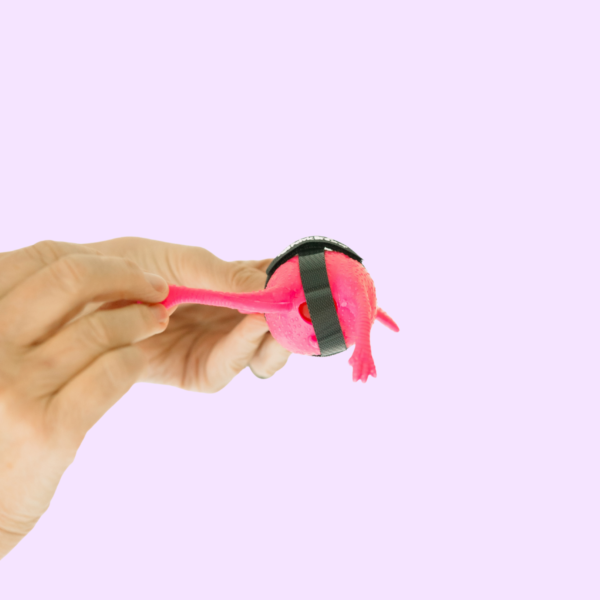 myPelvicBra® Pink Prolapse Chicken