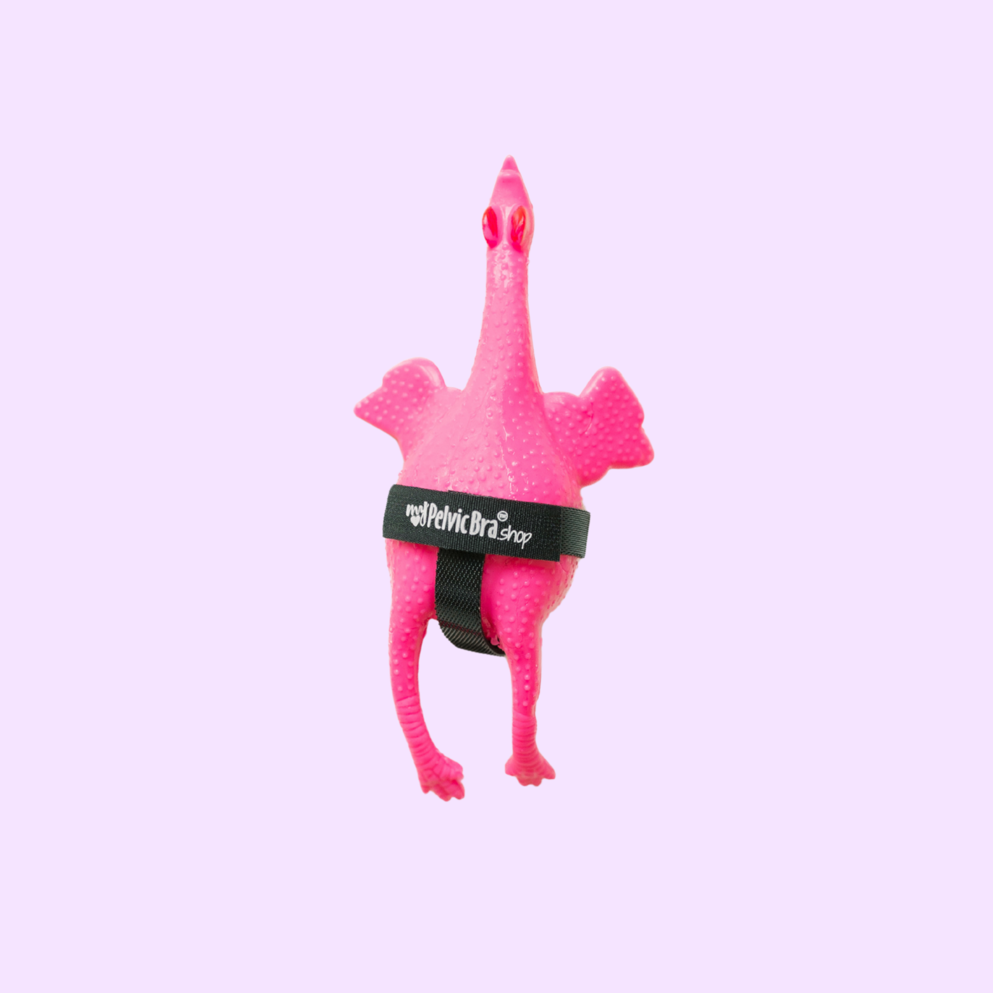 myPelvicBra® Pink Prolapse Chicken